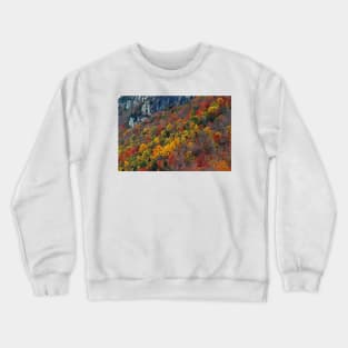 Foliage - Lake Willoughby, Vermont Crewneck Sweatshirt